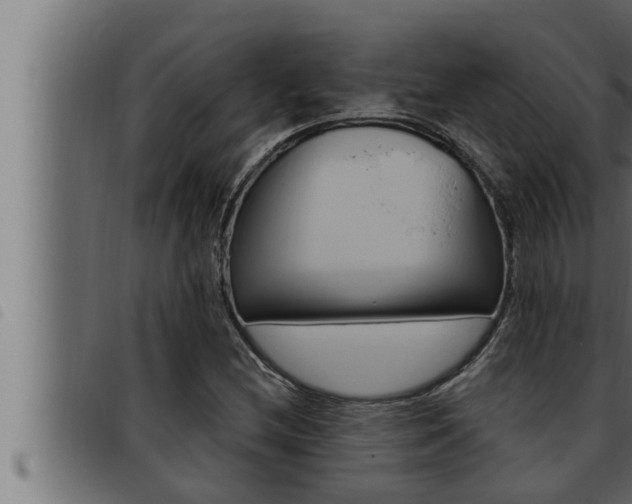 X0000093471212200710121004