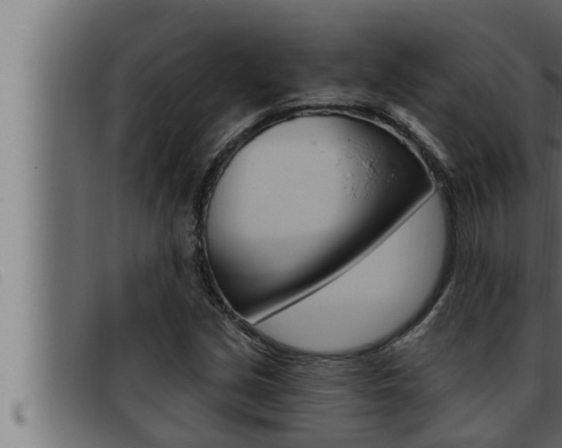 X0000093471213200710121004