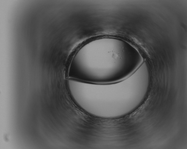 X0000093471214200710121004