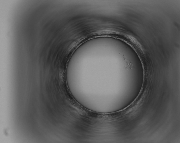X0000093471217200710121004