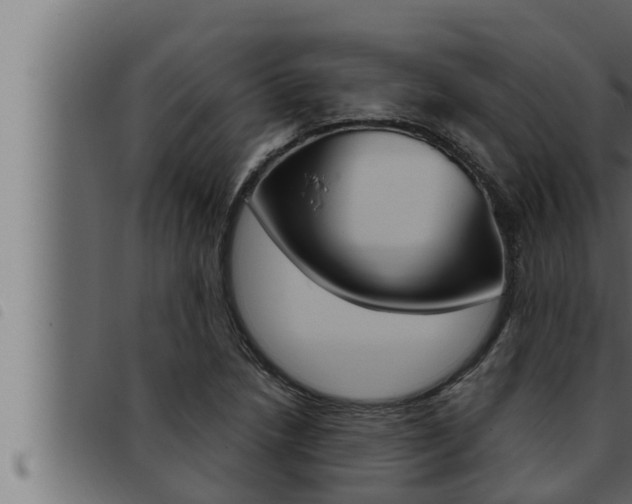 X0000093471218200710121004