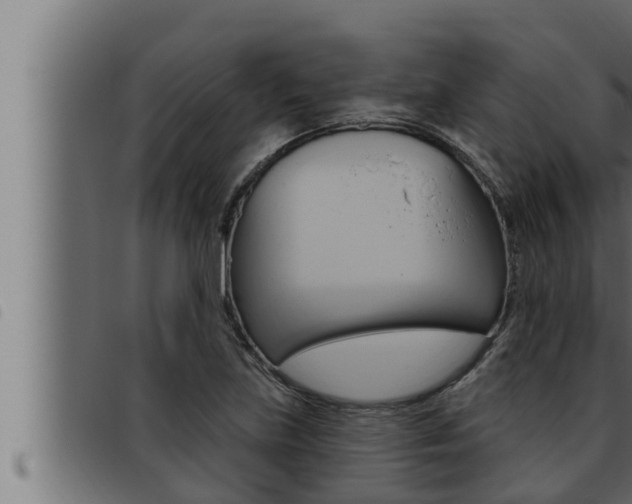 X0000093471219200710121004