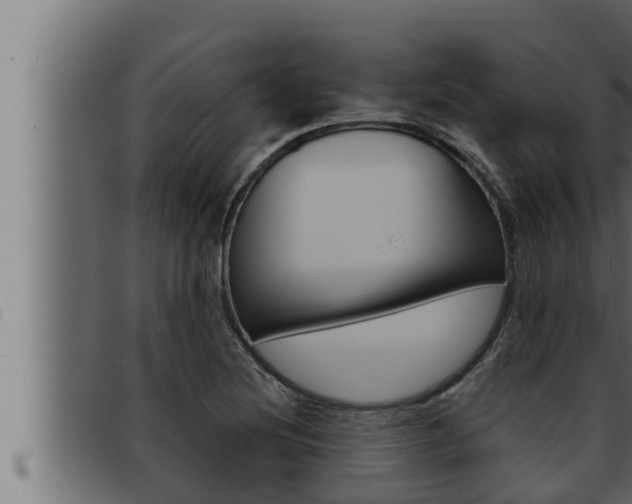 X0000093471220200710121004