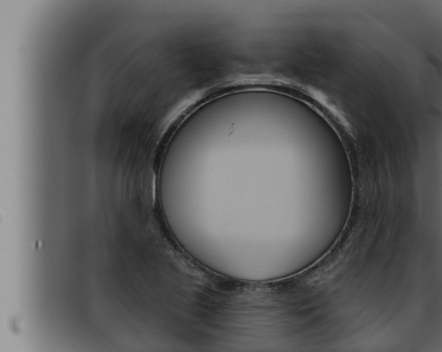 X0000093471221200710121004