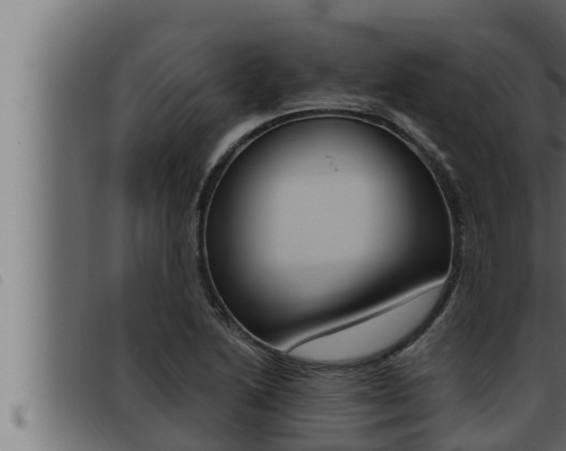X0000093471222200710121004
