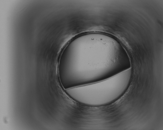 X0000093471224200710121004