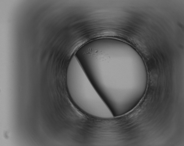 X0000093471225200710121004
