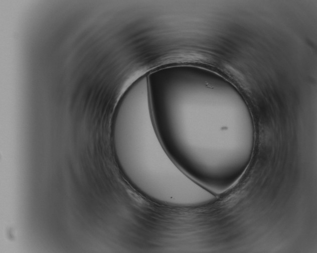 X0000093471226200710121004