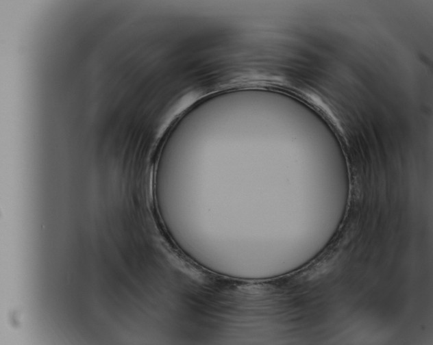 X0000093471227200710121004