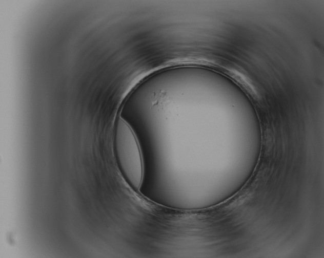 X0000093471228200710121004