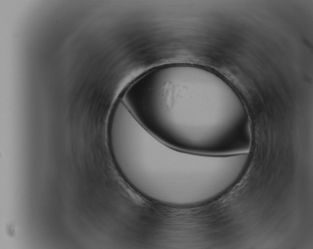 X0000093471230200710121004