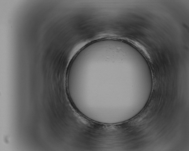 X0000093471231200710121004