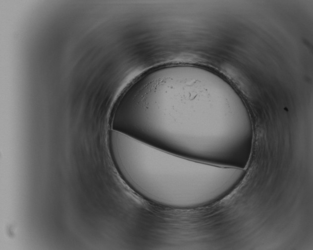 X0000093471232200710121004