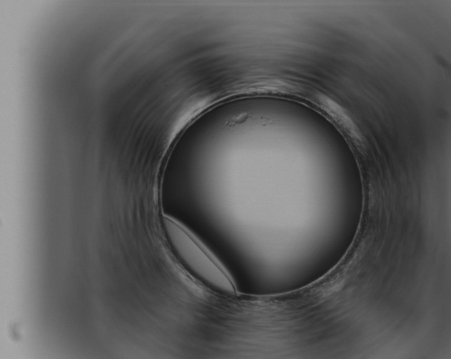 X0000093471234200710121004
