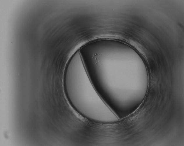 X0000093471237200710121004