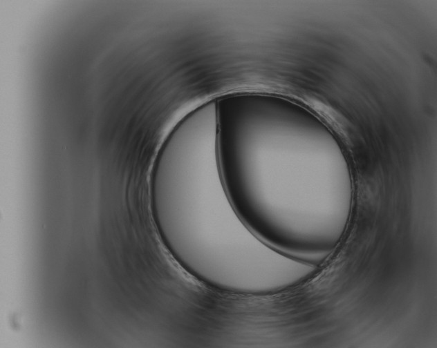 X0000093471238200710121004