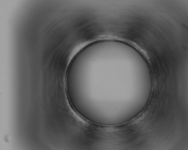 X0000093471239200710121004