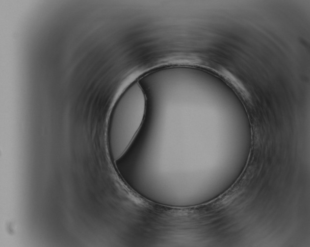 X0000093471240200710121004
