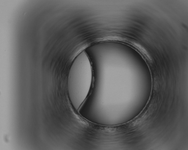 X0000093471241200710121004