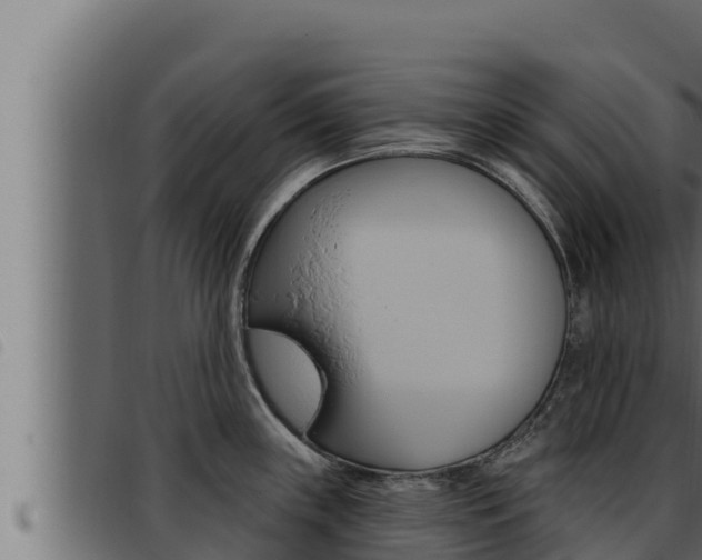 X0000093471243200710121004