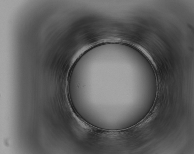 X0000093471245200710121004