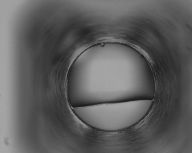 X0000093471247200710121004