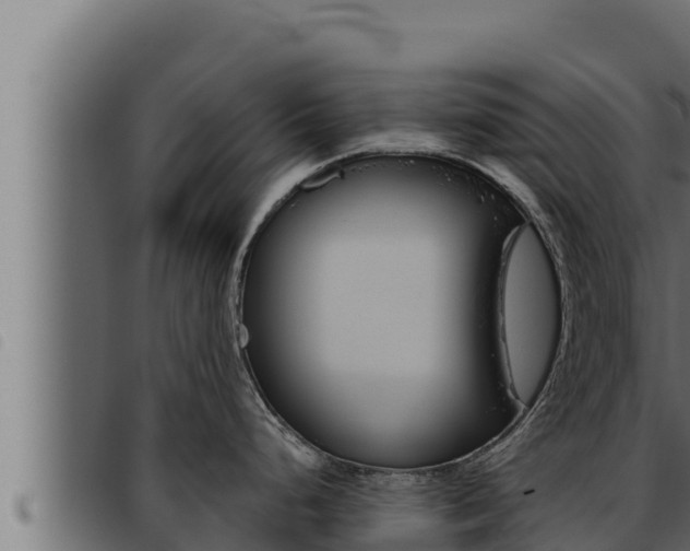 X0000093471248200710121004