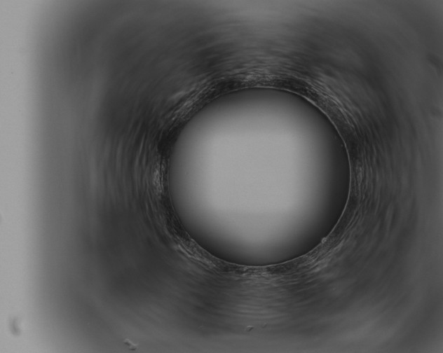 X0000093471250200710121003