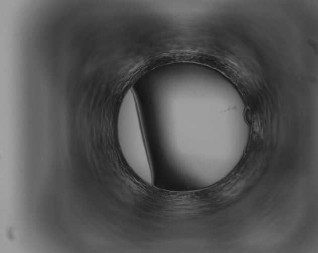 X0000093471252200710121003