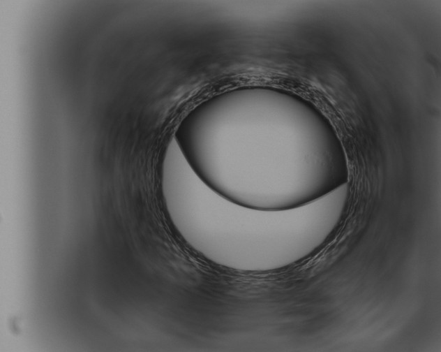 X0000093471253200710121003