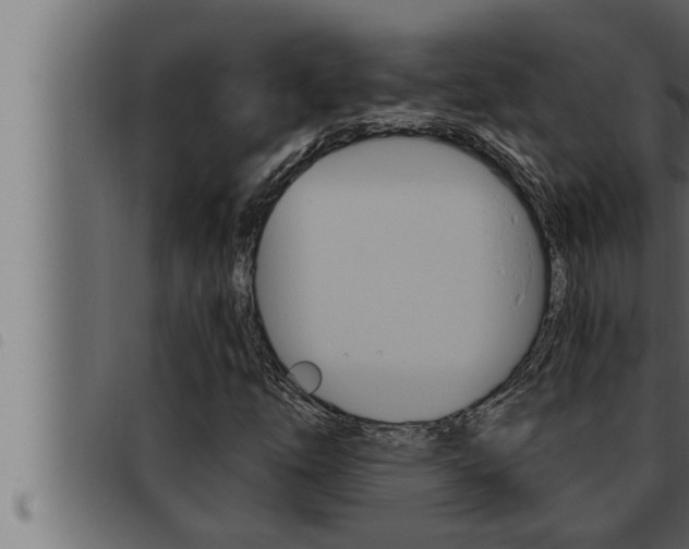 X0000093471254200710121003