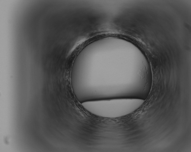 X0000093471255200710121003