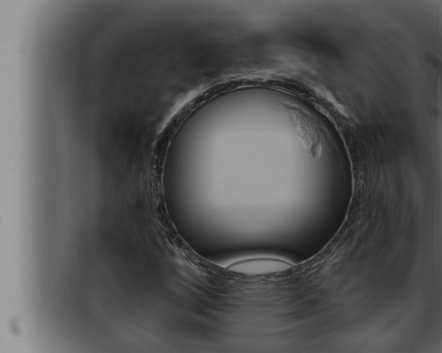 X0000093471256200710121003