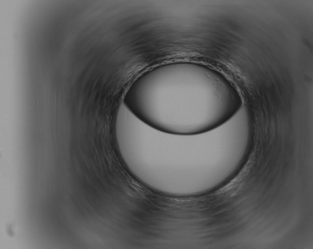 X0000093471257200710121003