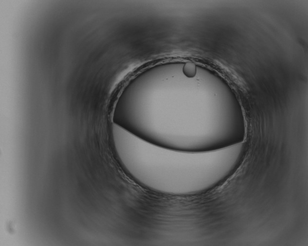 X0000093471262200710121003