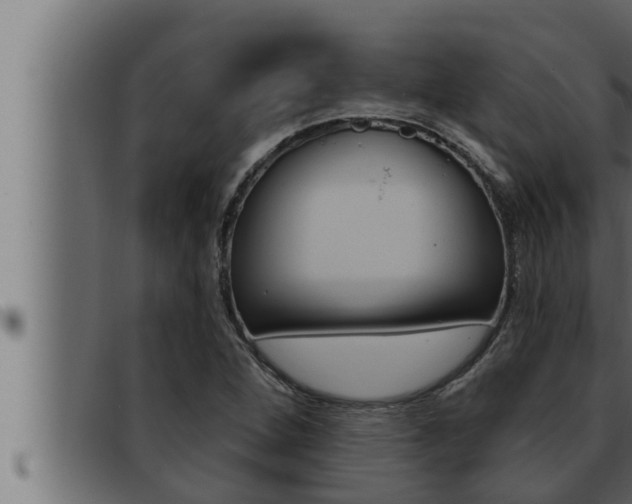 X0000093471264200710121003