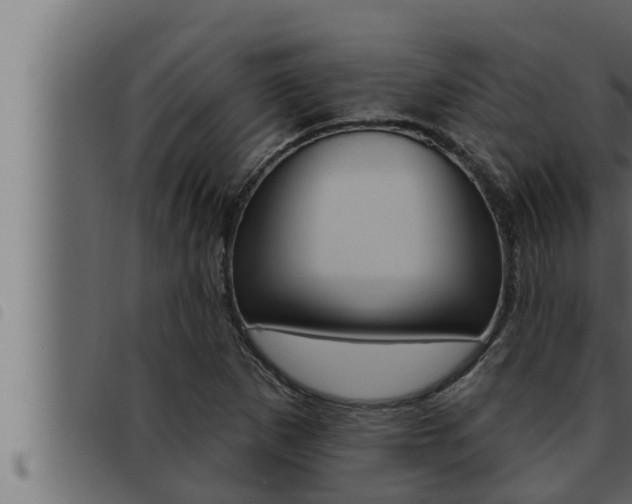 X0000093471265200710121003