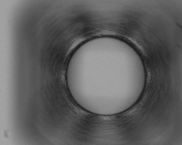 X0000093471266200710121003