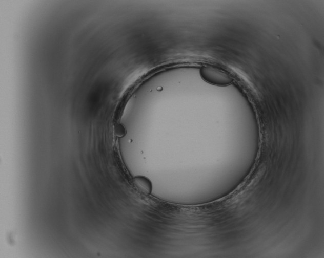 X0000093471267200710121003