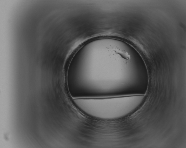 X0000093471270200710121003