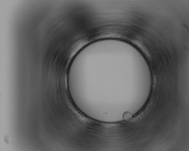X0000093471274200710121003