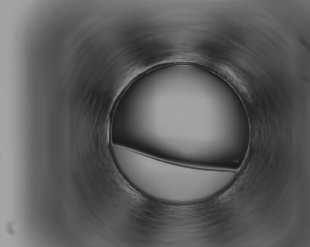 X0000093471276200710121003