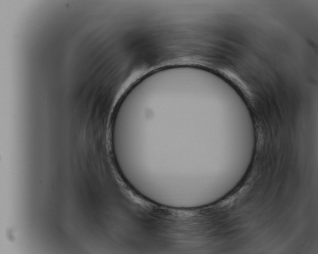 X0000093471278200710121003