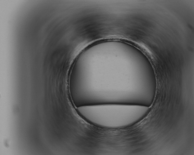 X0000093471279200710121003