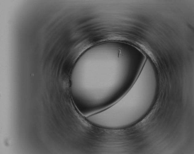 X0000093471281200710121003