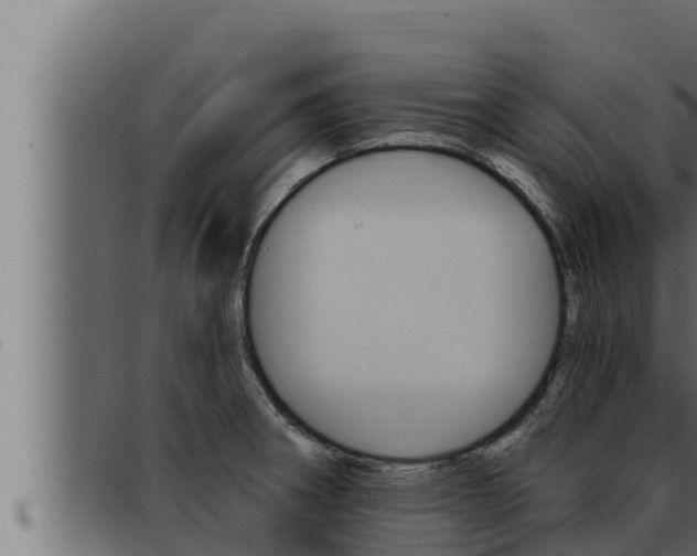 X0000093471282200710121003