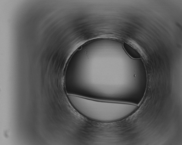 X0000093471284200710121003