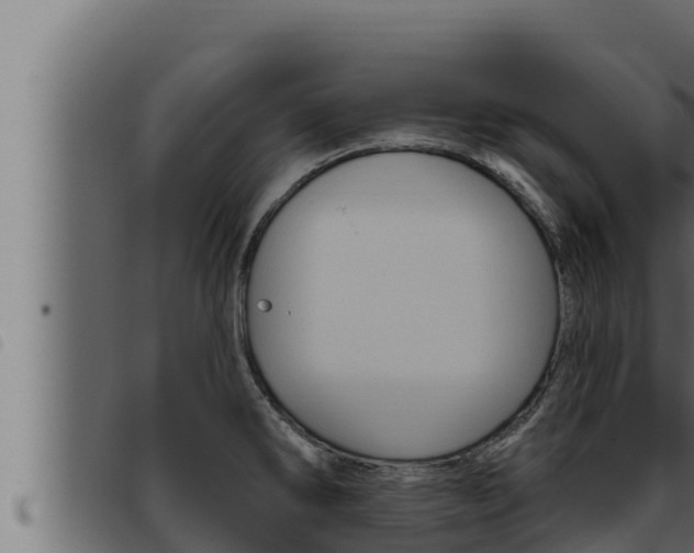 X0000093471286200710121003