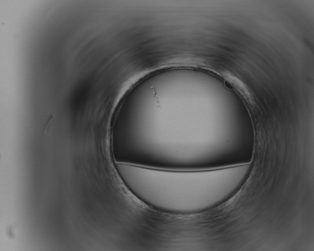 X0000093471288200710121003