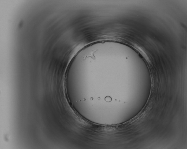 X0000093471291200710121003